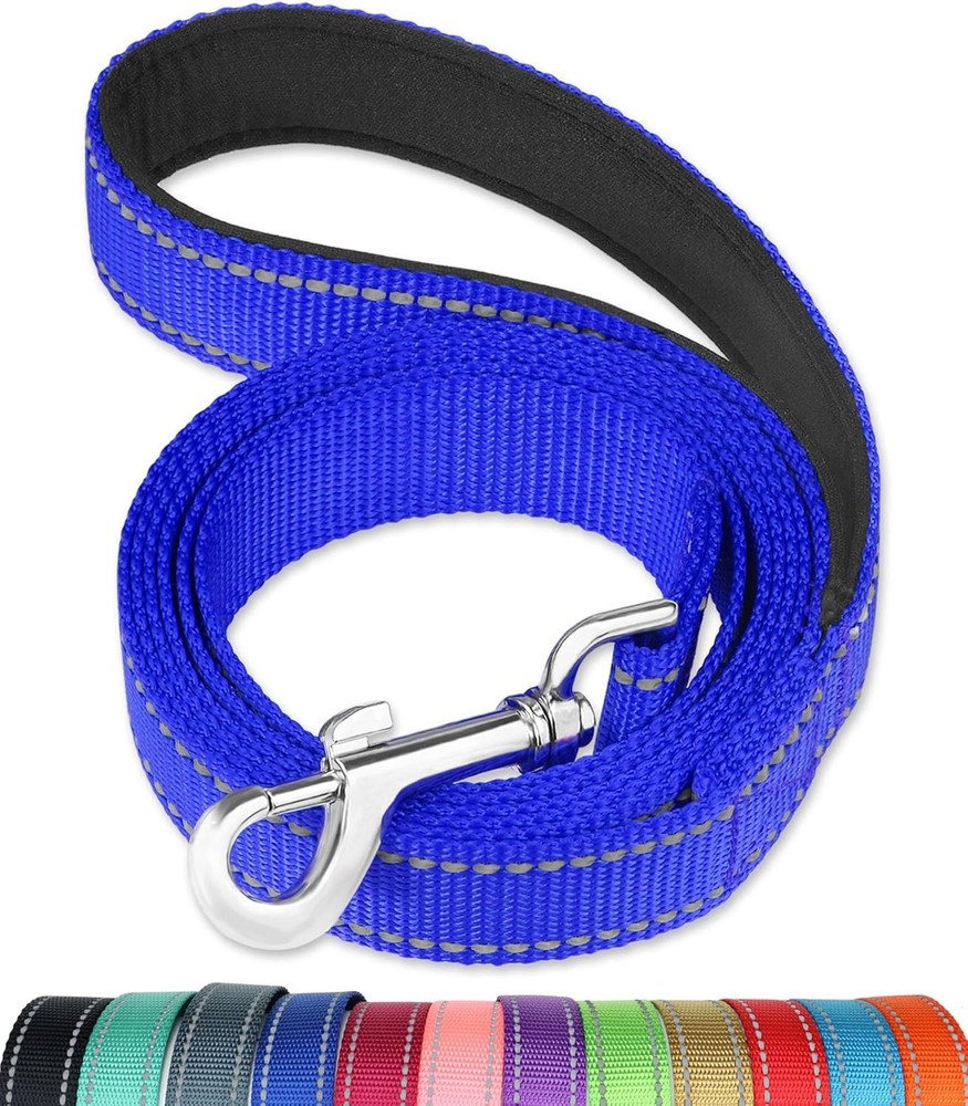 Reflective Dog Leash with Soft Padded Handle for Training, Walking