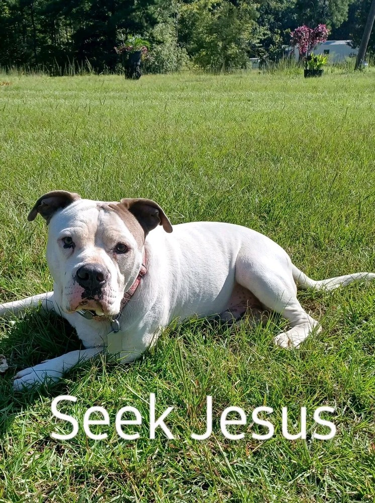 2vd835 Google Fi Code. Please Use This For  New Subscriber $60 Dollar  Credit!