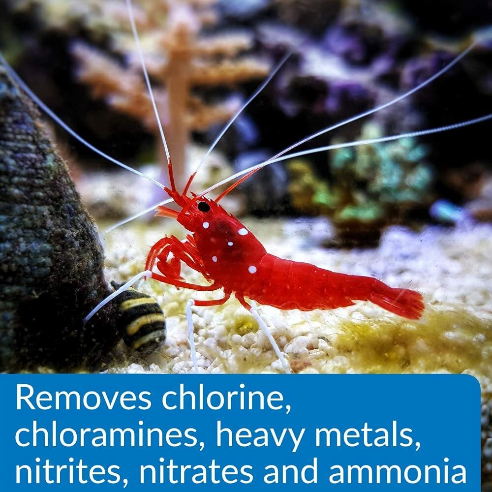 API AQUARIUM PHARMACEUTICALS AQUA ESSENTIAL WATER CONDITIONER 8 OZ