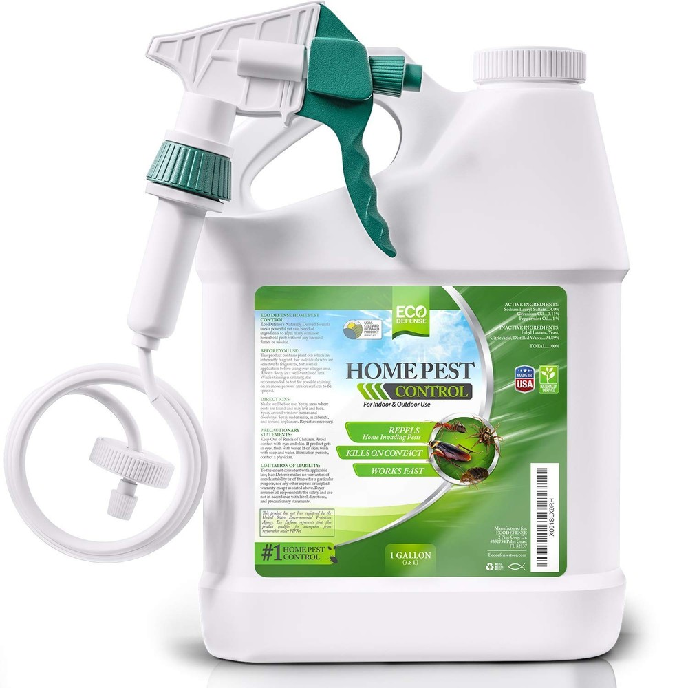 Safe Home Bug Control - Natural Ant, Roach, Spider Repellent