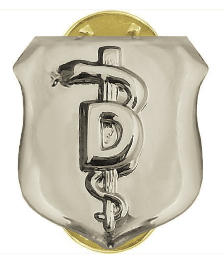 Vanguard AIR FORCE BADGE: DENTIST