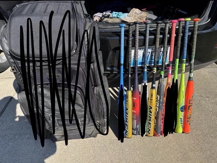 Bats
