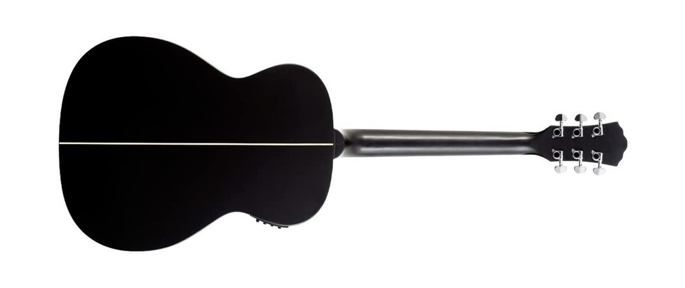 Washburn 6 String Acoustic Guitar, Right (DFEFE)