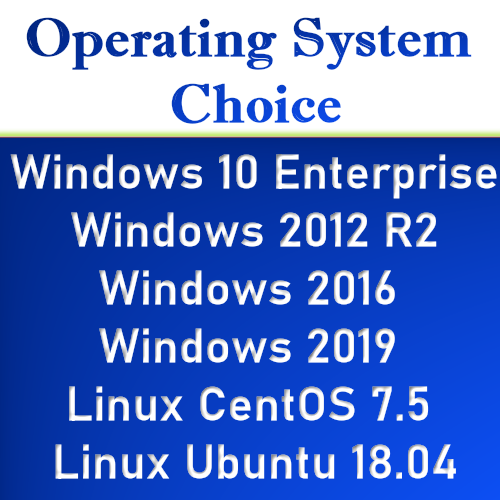 1 Year - VPS Server Virtual Hosting Windows RDP Windows VPS Server VPS Hosting