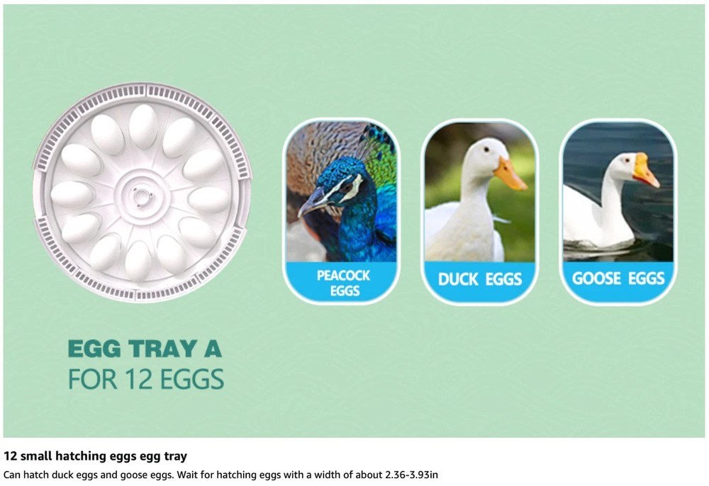 MeeF incubators for Hatching Eggs Automatic 30 Eggs Incubator with Tur