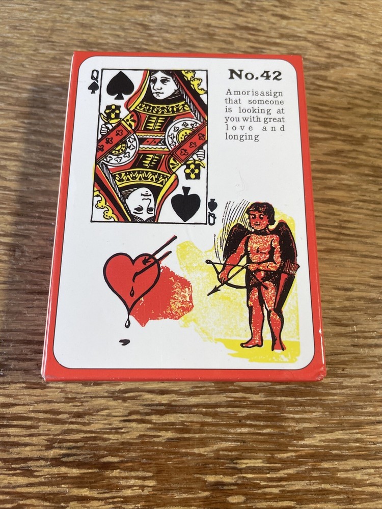 Gypsy Witch Fortune Telling Cards, Playing Card Deck!