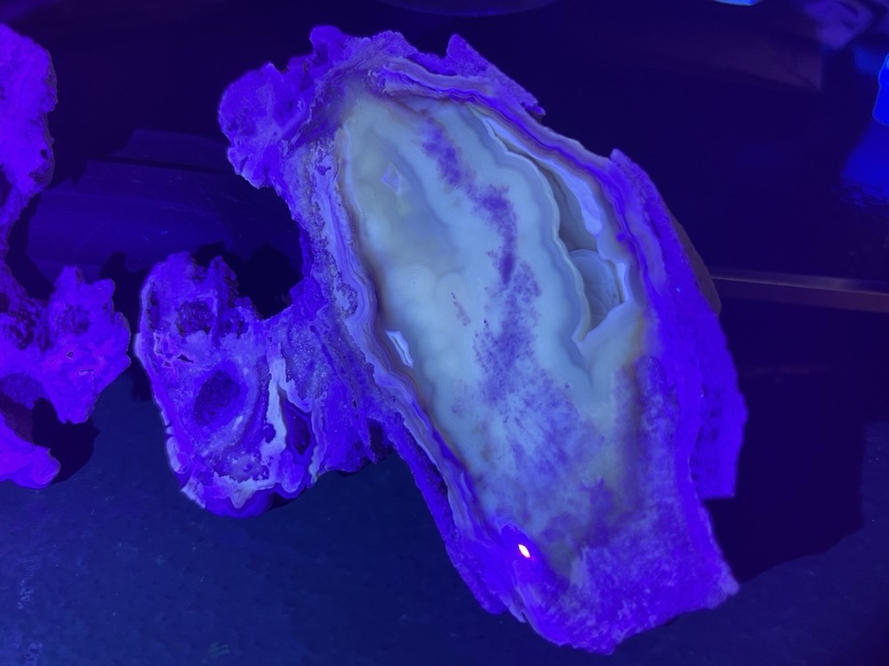Huge Polished Agatized Coral Geode