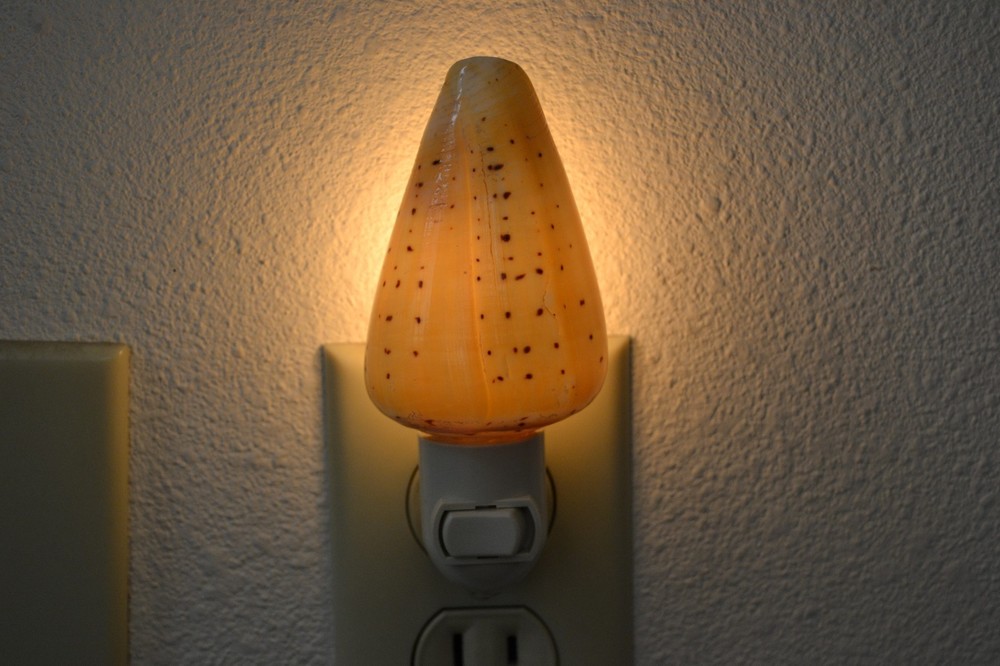 ABBREVIATED CONE SEA SHELL NIGHT LIGHT BATHROOM KITCHEN #7250