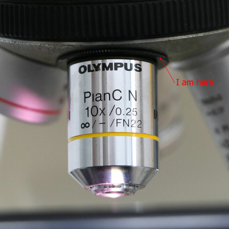 Thread Microscope Objective Lens Adapter Ring M25 M26 M27 M32 to RMS