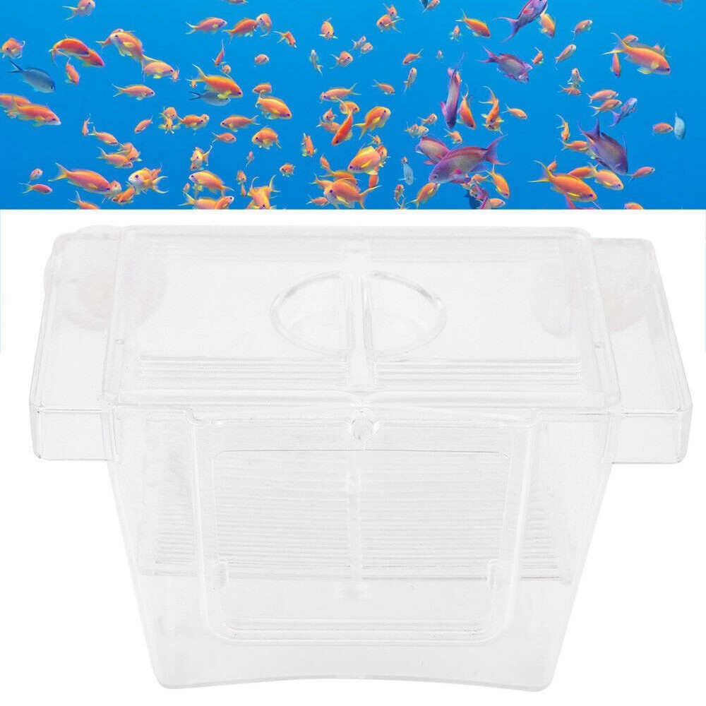 Acrylic Aquarium Fish Breeder Box Hatching Incubator Isolation Box (Small Size)