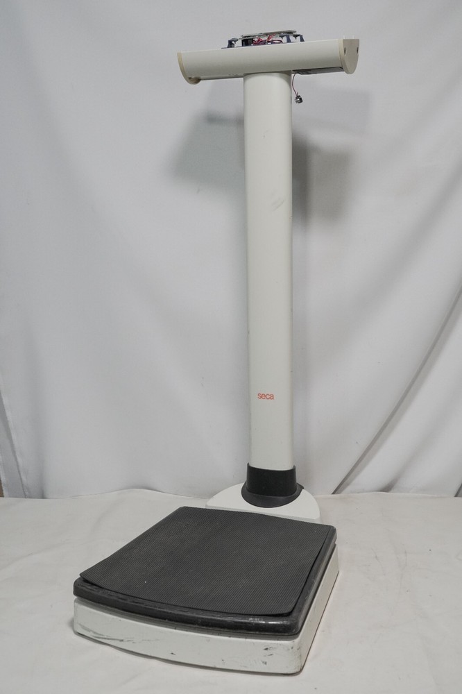 seca 703 1021999 column scale, max 250kg, d = 100 g