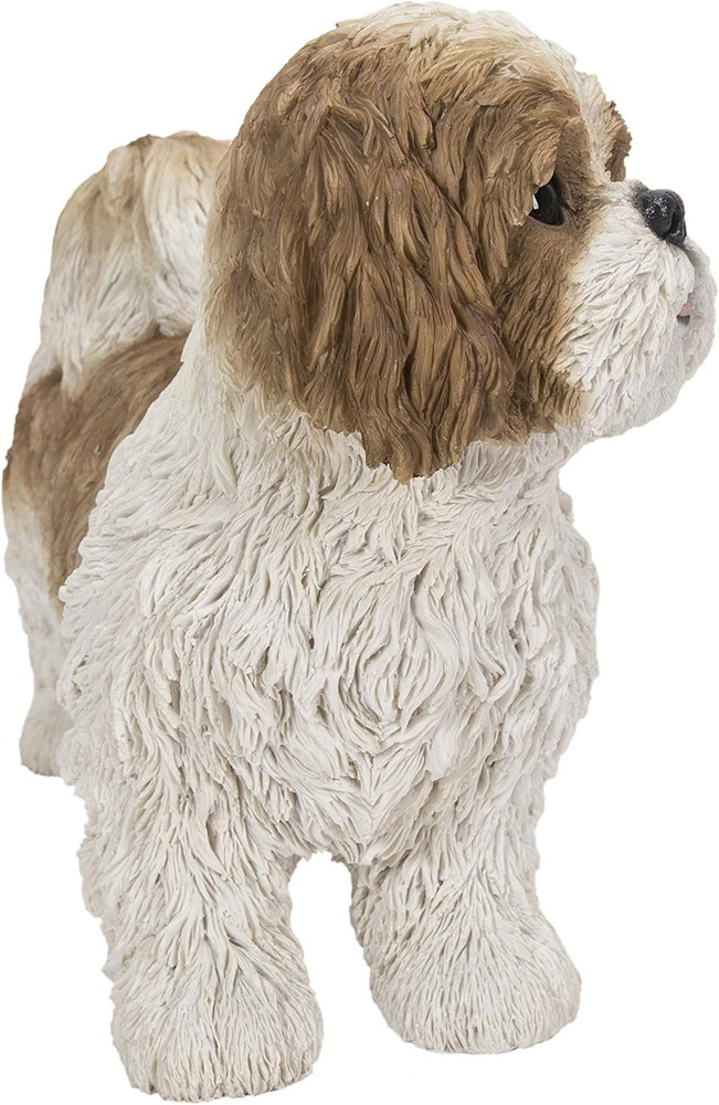 Gift Brown & White Standing Shih TZU