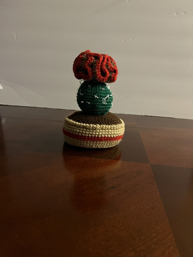 Crochet Cactus Table Decor