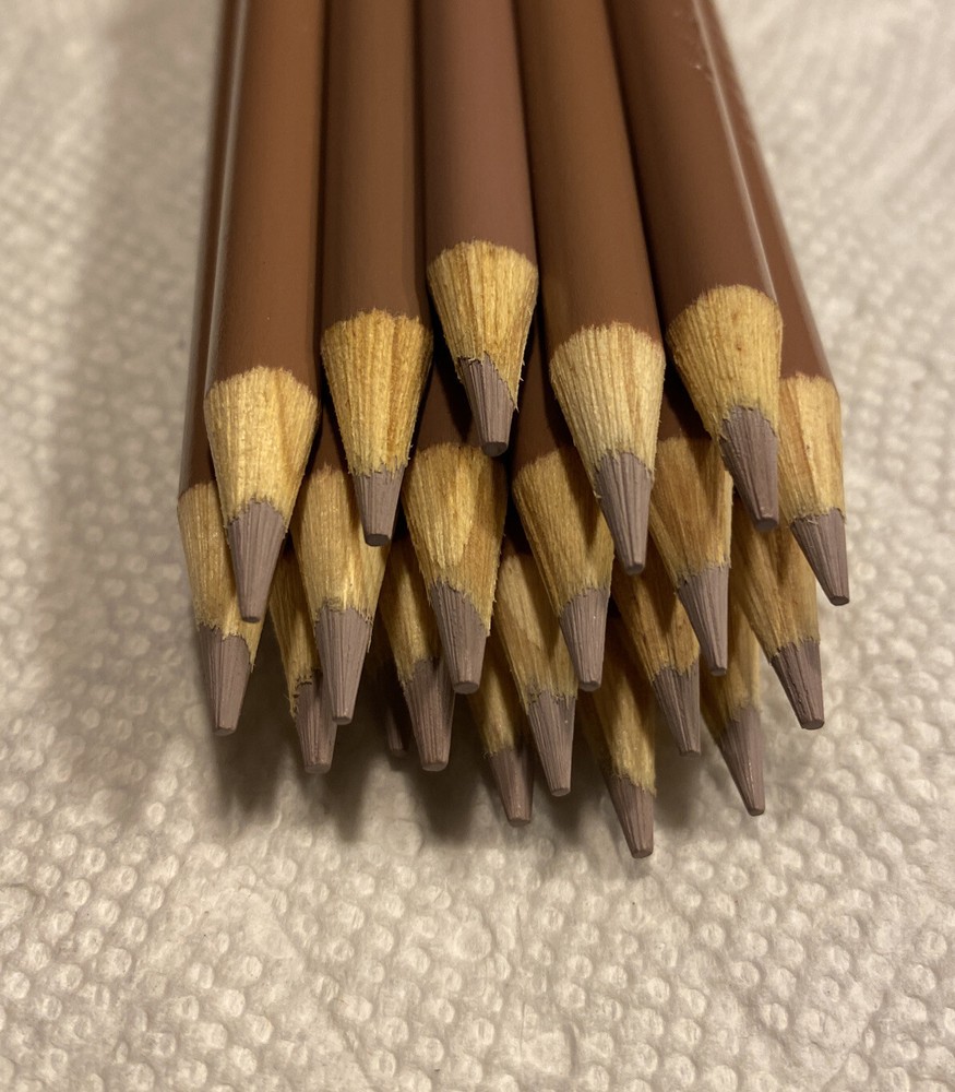 (20) Crayola Colored Pencils (taupe) BULK