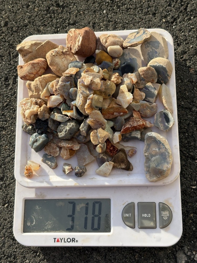Australian rough Opal 310 Grams Plus!!