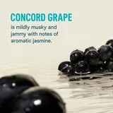 Concord Grape Hydration Electrolyte Drink Mix