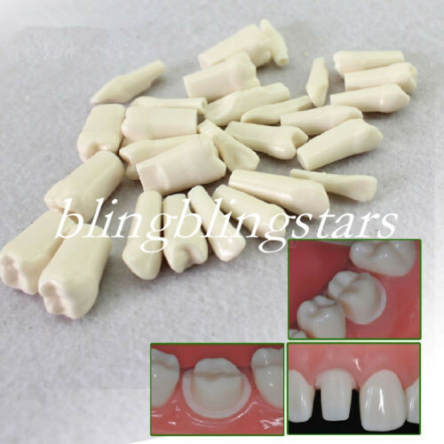 28 Pcs/Set Teeth Model Dental Demonstration Resin Practice Artificial Study