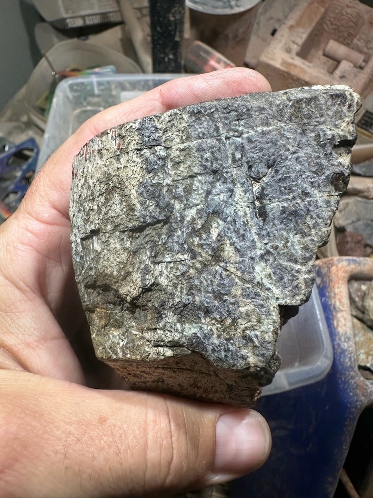 Dinosaur bone polished end cut specimen.