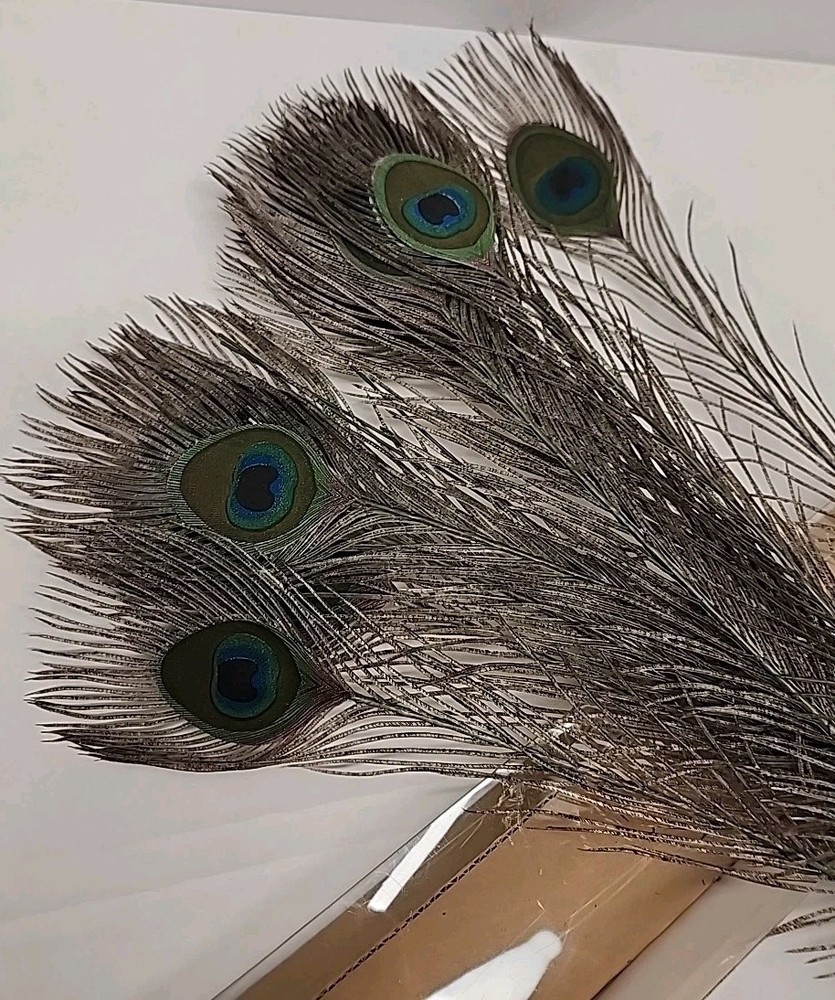 Artificial Peacock Feathers 21" (15 Pieces)