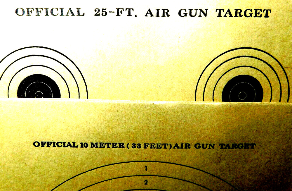Marksman~Pellet Trap # 2085