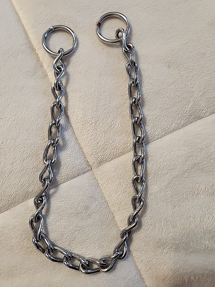 Dog Training Choke Collar 20”