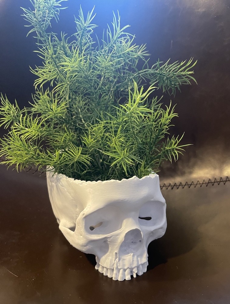 Plastic White Human Skull Pot Planter For Succulents
