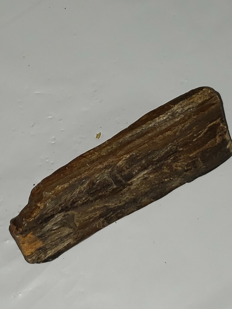 Petrified wood 4.5 inches long