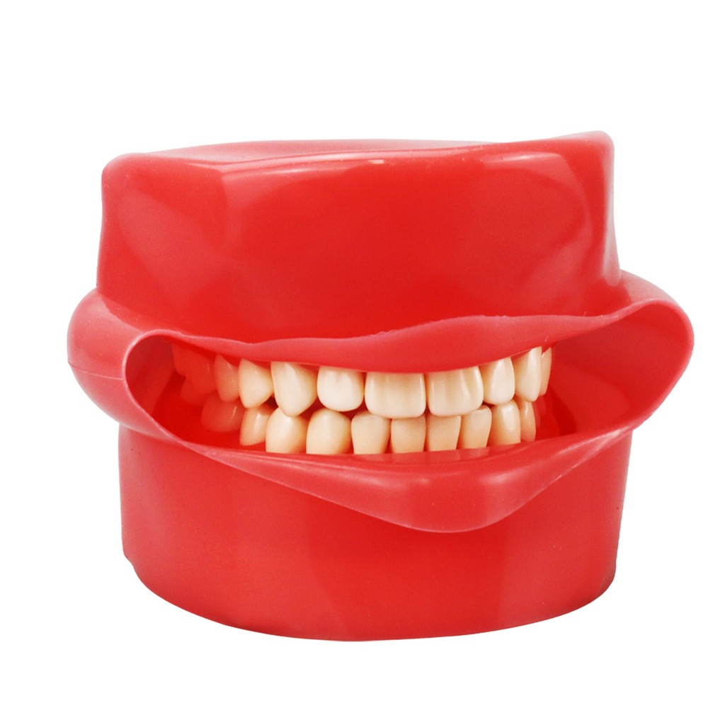 Dental Phantom Head Model Silicone Mask 28Pcs Screw Fixed Teeth Simulation Model