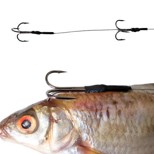 Pike Dead Bait Float PIKE Rigs Fishing Kit Including Trace Hook Float - PIKE UK