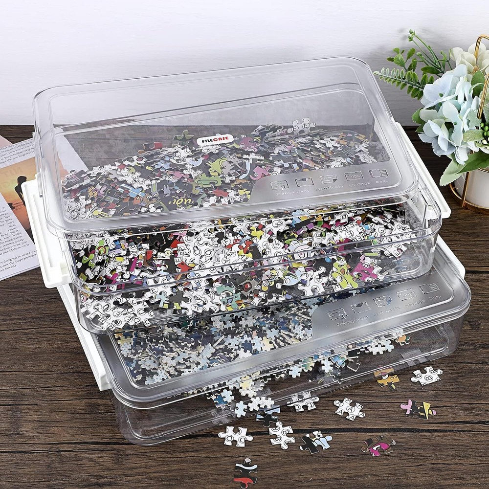 BTSKY 2 Pack Clear Plastic Stackable Storage Box File Protector Big, White