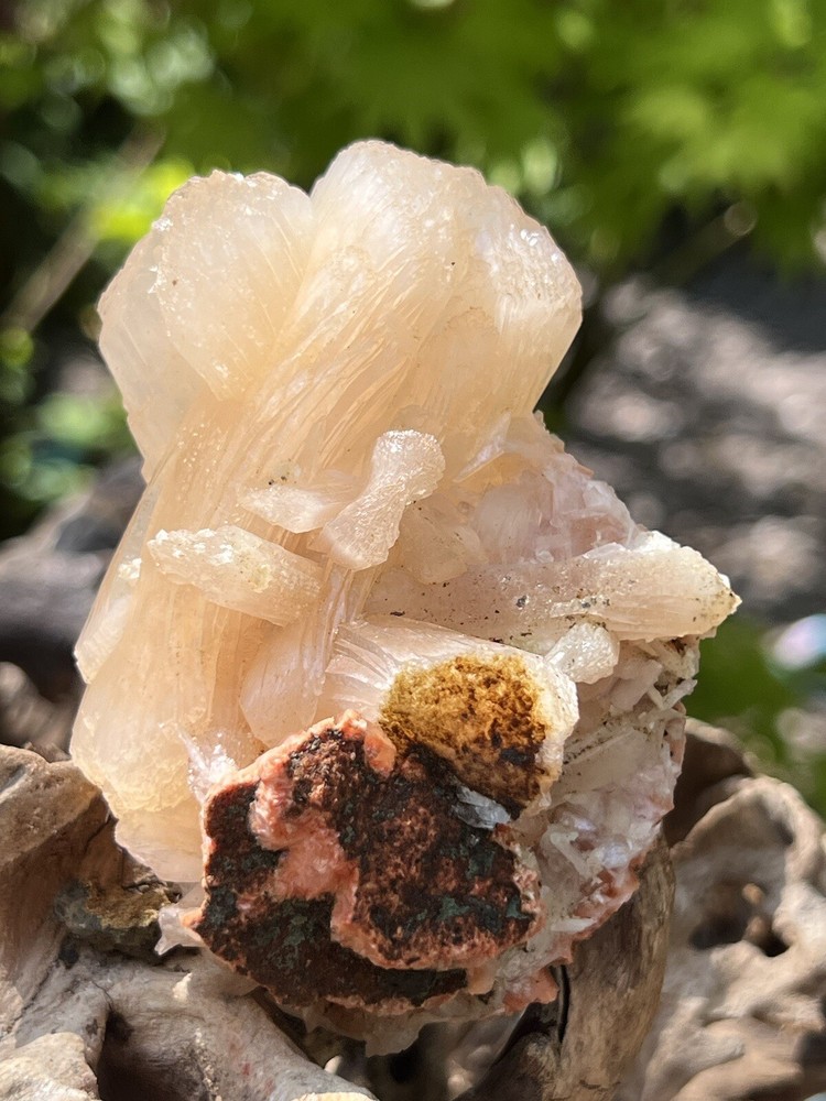 Orange Heulandite Cluster Bed Bright Colouring AAA+ With Stillbite 29