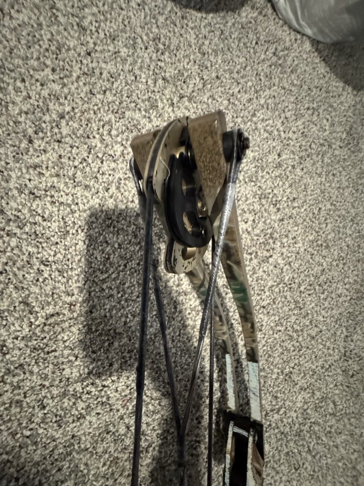 Compound Bow Hoyt Status Carbonite model, 60-70 lbs