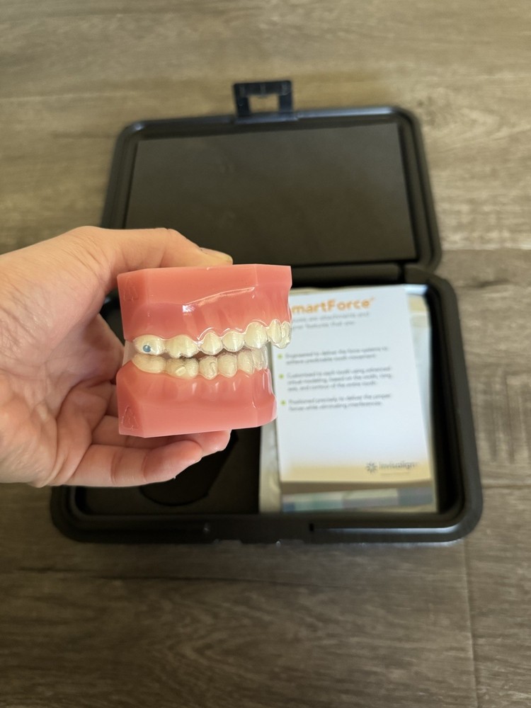 Invisalign Demo Typodont Kit - Class 2