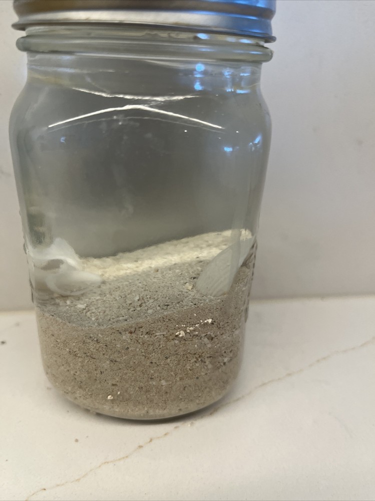 sand