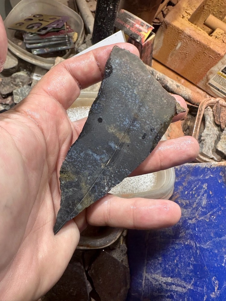 Dinosaur bone rough slab.