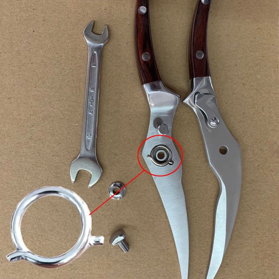 5 Pack Poultry Shears Spring Replacement Kitchen Shears Springs Loaded Ring