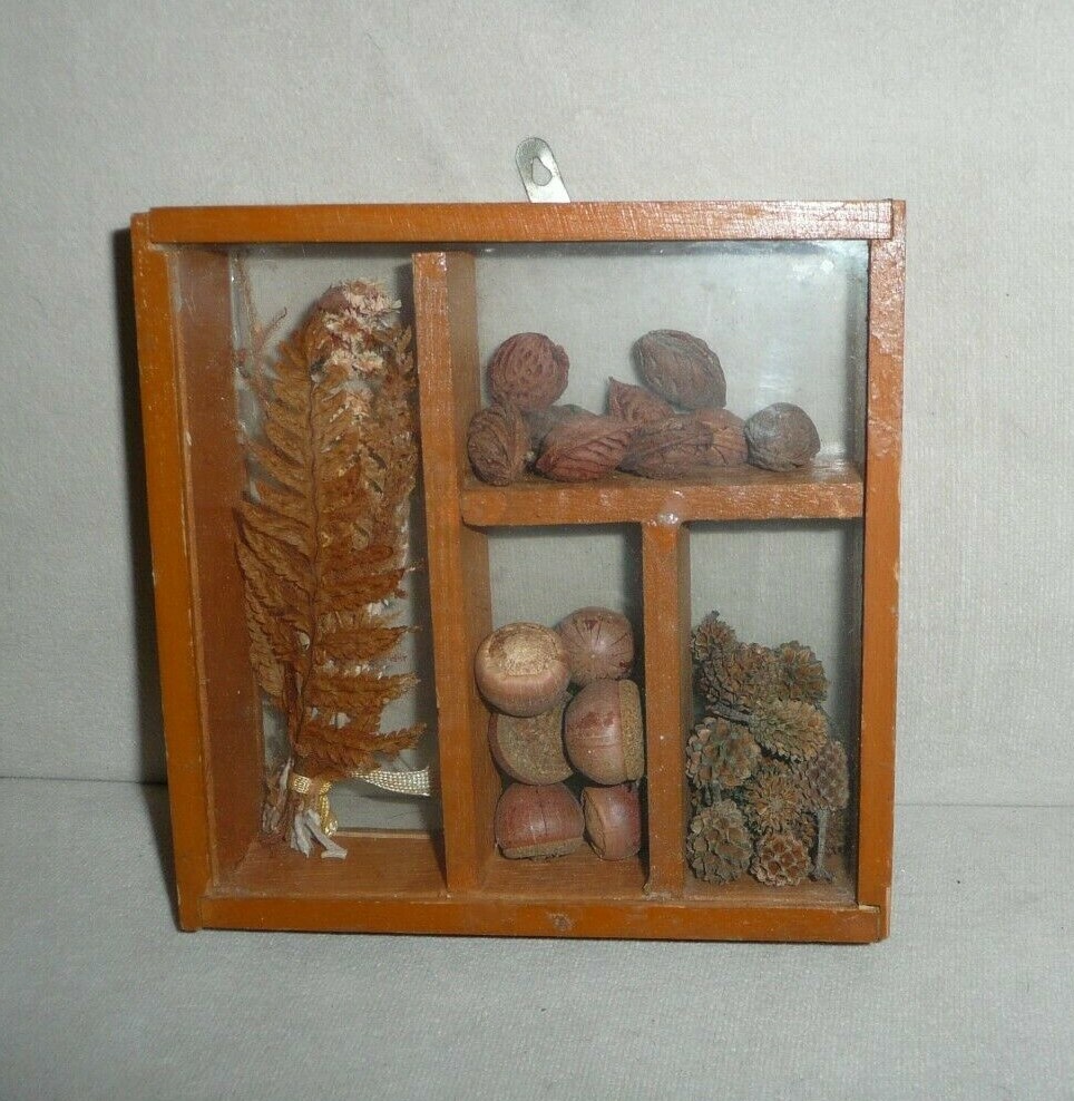 Vintage Seed Shadowbox Wall Hanging Home Décor 5.5" x 5.5"