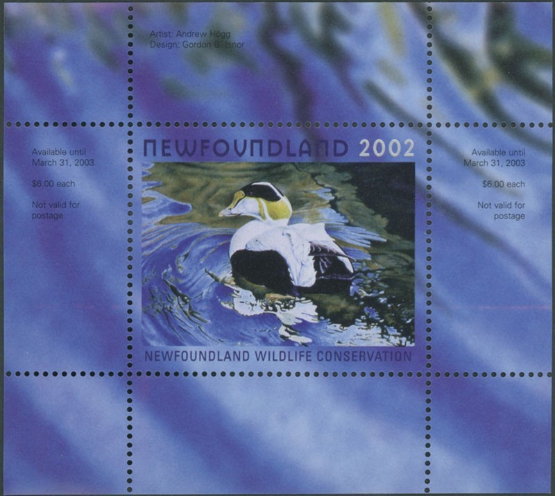 2002 CANADA-NEWFOUNDLAND & LABRADOR. CONSERVATION, COMMON EIDER, VD.#NLW9