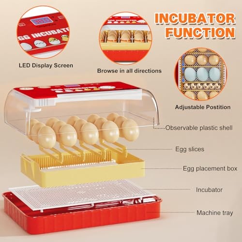 Incubators for Hatching Eggs 15-35 Eggs Incubator with Automatic Egg Red