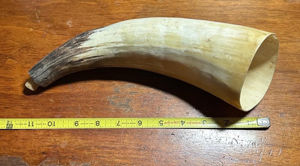 Vintage Powder Bull Horn