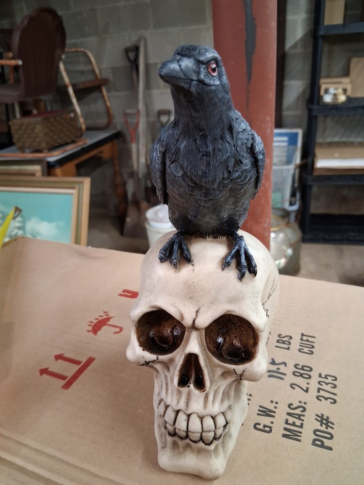 Raven Perched on Skull Gothic Figurine