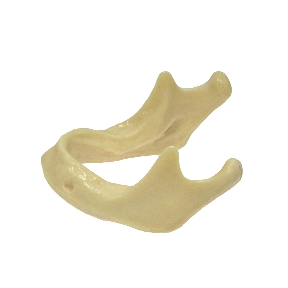 Dental Implant Jaw Bone Model For Practice Basic Drilling Insertion M2022/2023