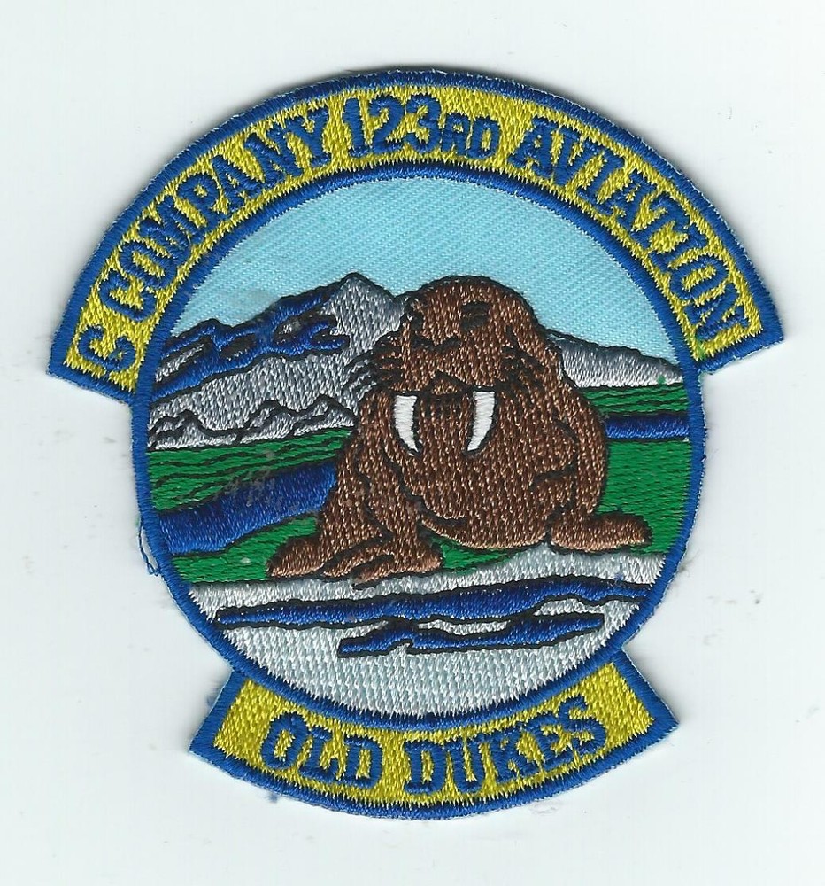 C C0 123rd AVIATION patch