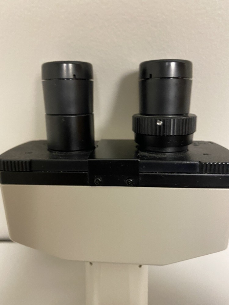 Nikon TMS Inverted Microscope TMS