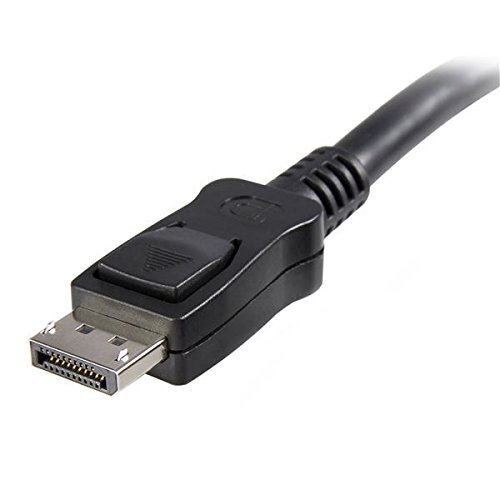 10' DisplayPort 1.2 Cable