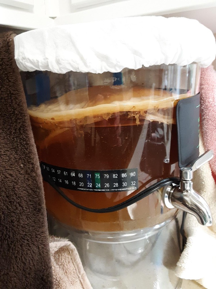 5 pcs Pack Stick On Thermometer Temp Strip Sticker Brewing Fish Tank Aquarium