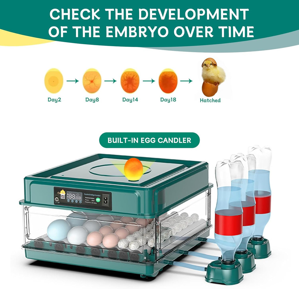 Automatic Egg Incubator 12-38 Eggs Automatic Poultry Intelligent Incubator for H
