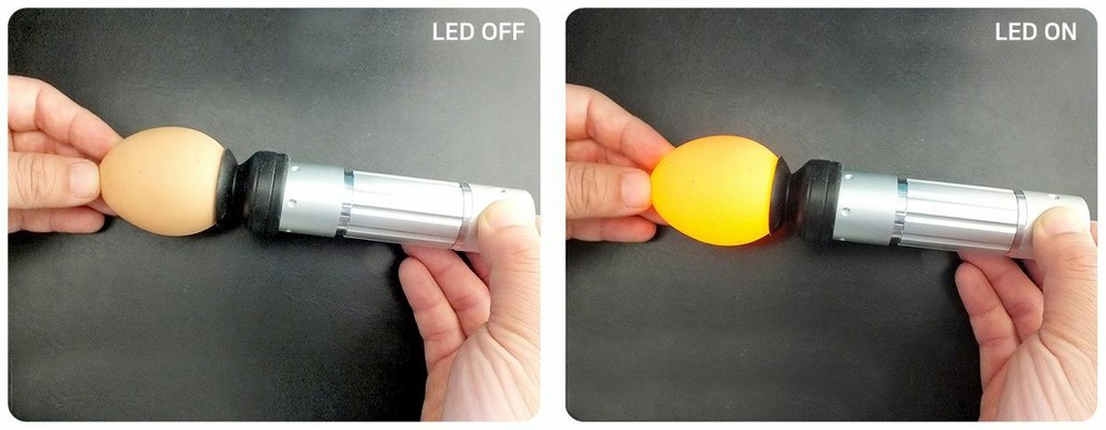 Rcom Egg Candler LED 120 Lumens Cool Light High Intensity