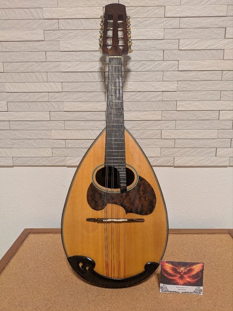 SUZUKI mandolin 8 string