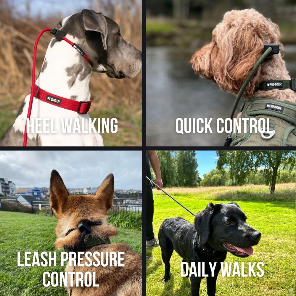 Slip Dog Leash Training Lead 1.4m No Pull Lightweight Durable with Stopper